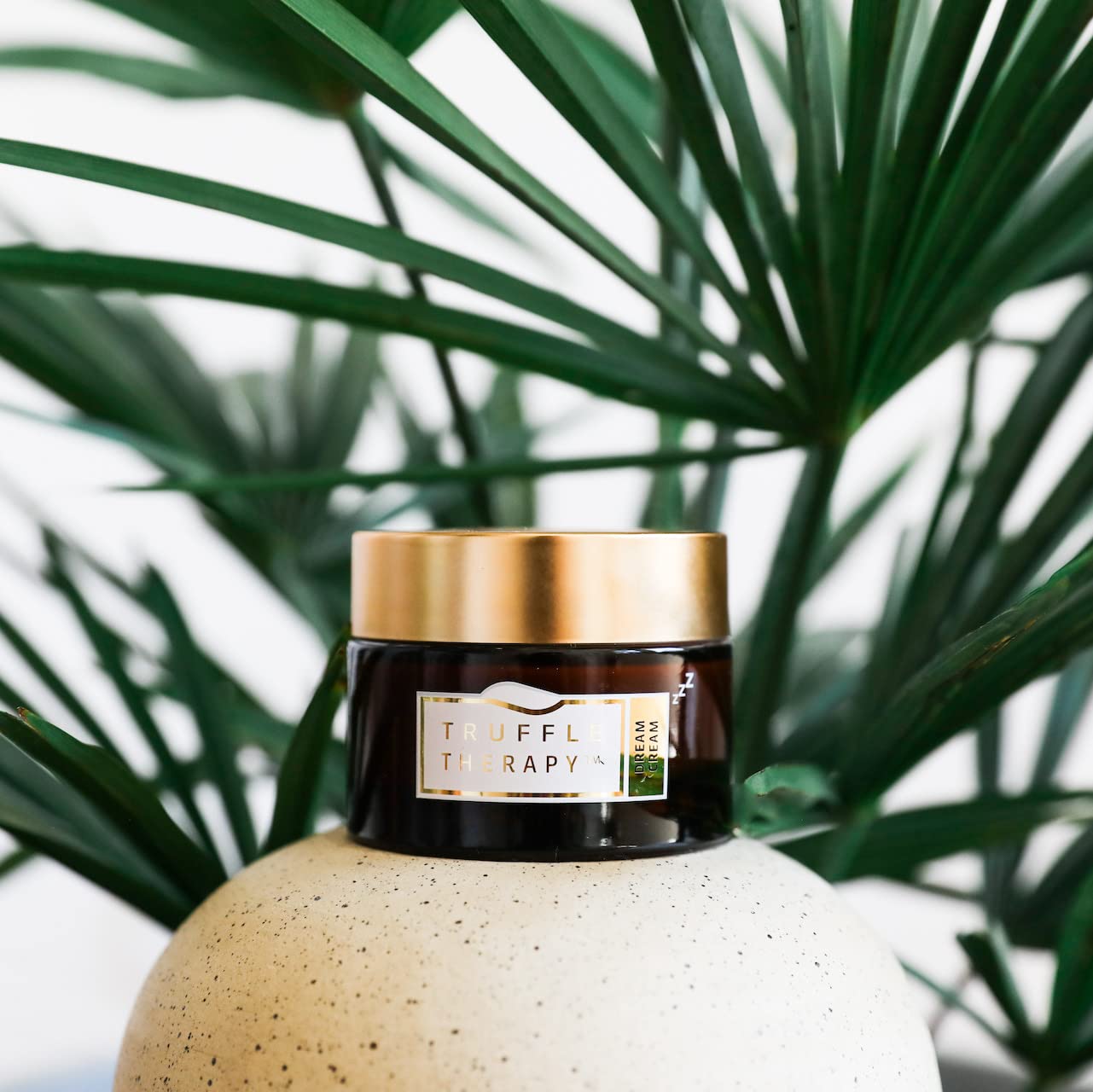 SKIN&CO Truffle Therapy Dream Cream, 1.7 FL OZ, AHA Night Cream, Acid Fruit Complex, Radiance Boosting Creme, Alcohol Free, GMO Free, Vegan, Organic Farming, Black Winter Truffle Extract